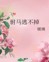 驸马的儿子叫什么